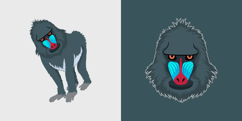 Baboon