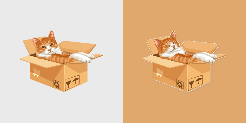 Popular Cat Meme
