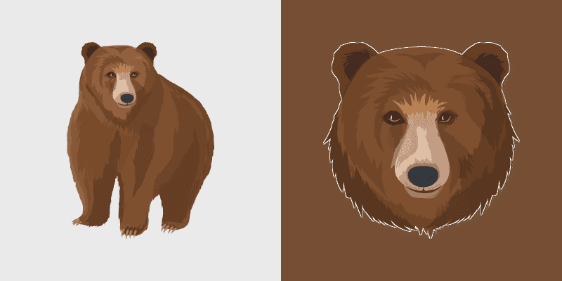 Brown Bear