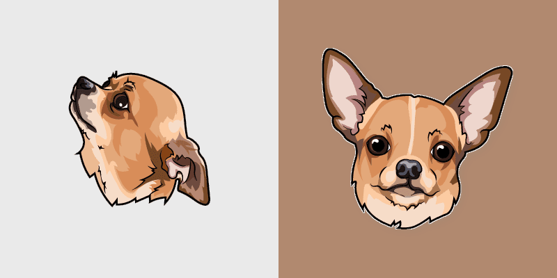 Chihuahua Pup
