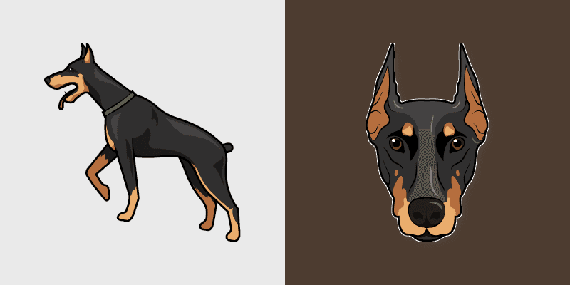 Doberman Pinscher