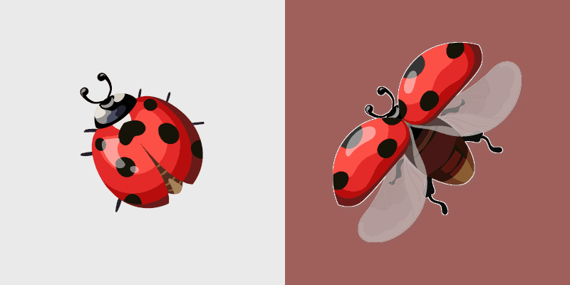 Ladybug