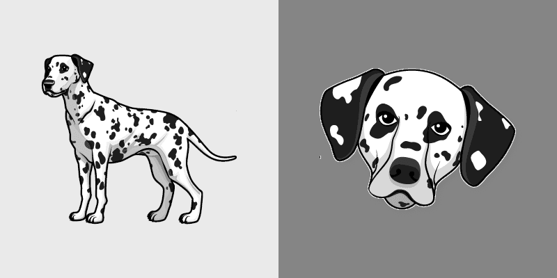 Dalmatian Spots
