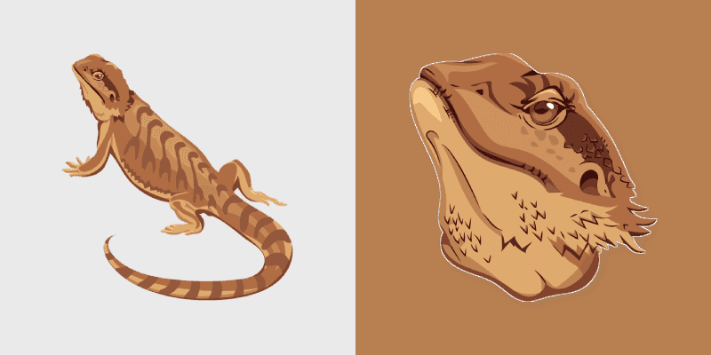 Bearded Dragon