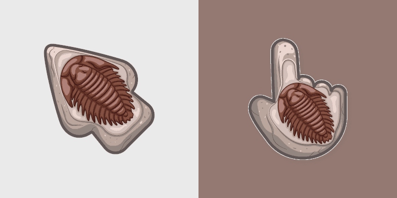 Trilobite Fossil