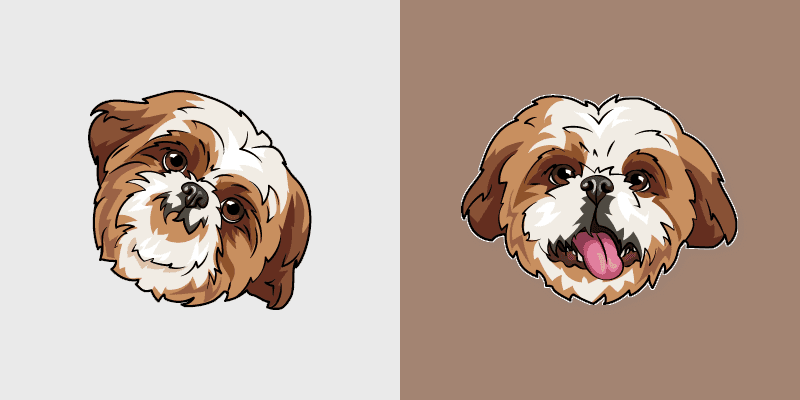 Shih Tzu