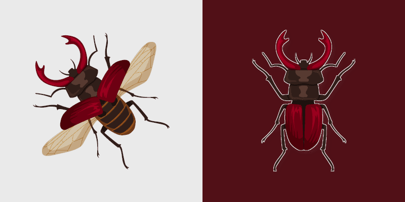 Stag Beetle