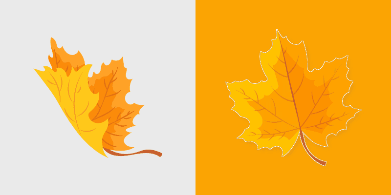 Autumn Maple