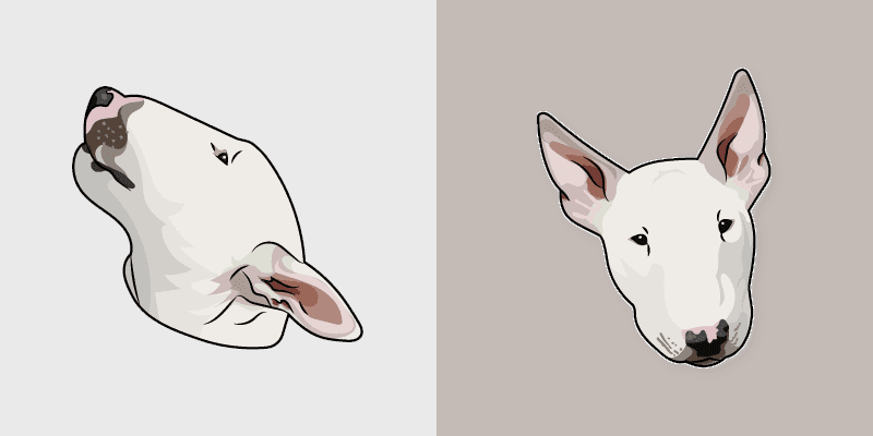 Bull Terrier