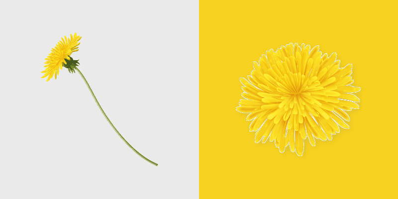 Dandelion Delight Cursor Pack cursor preview