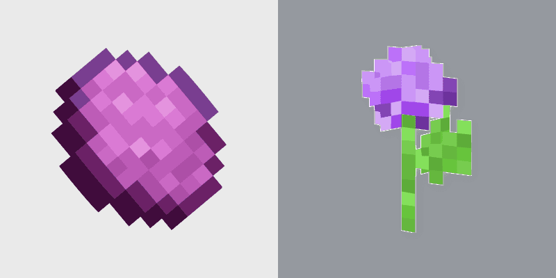Magenta Dye Allium