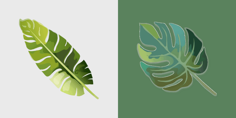 Tropical Monstera