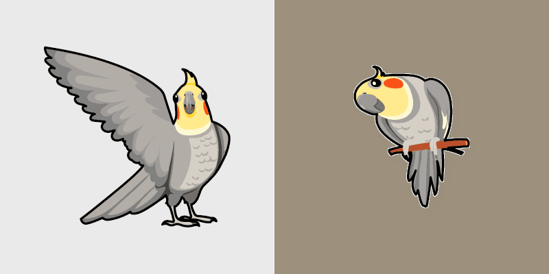 Cockatiel