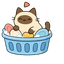 Soapy Siamese pointer cursor