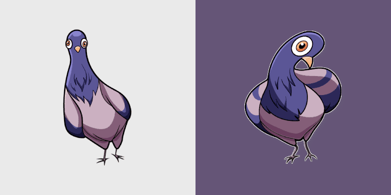 Pigeon