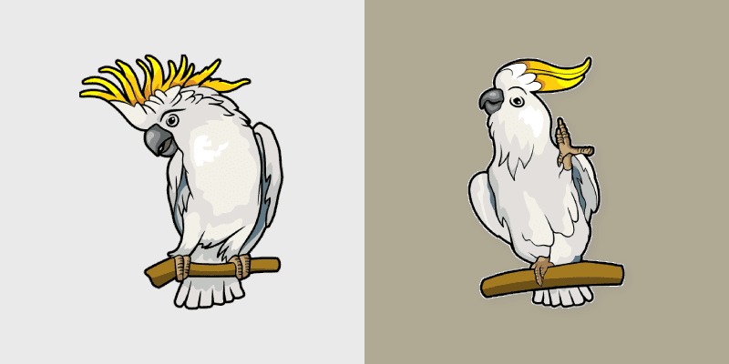 Cockatoo