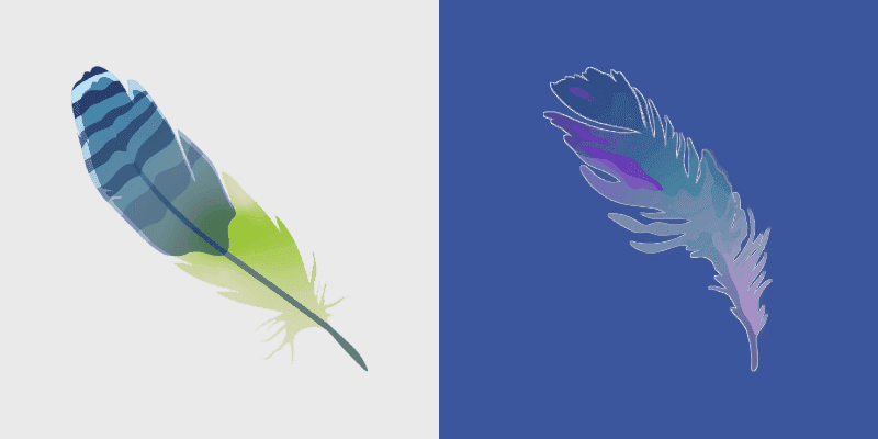 Bird Feather