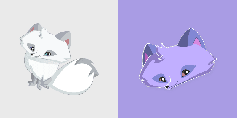 Arctic Fox
