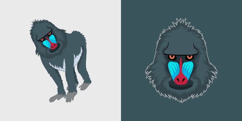 Baboon