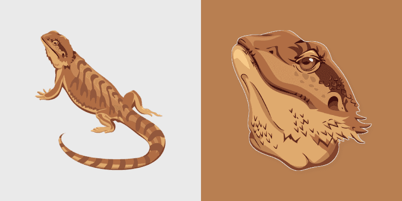 Bearded Dragon