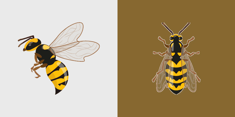 Worker Bee