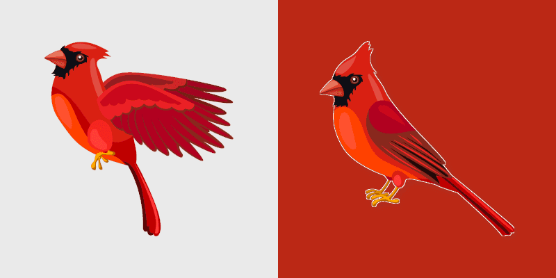 Cardinal