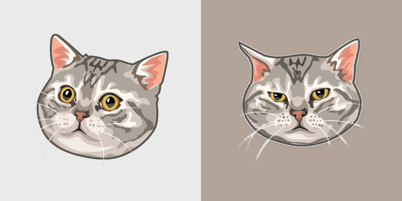 American Shorthair