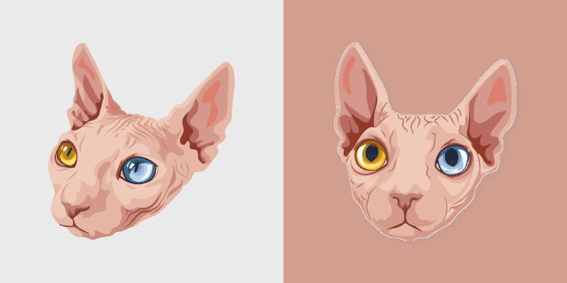 Sphynx Snuggle