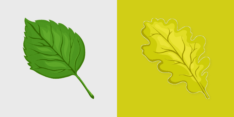 Tree Leaf