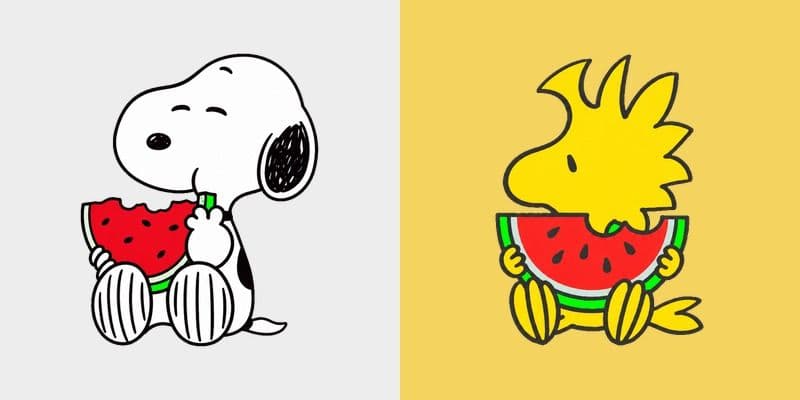 Peanuts Snoopy and Woodstock Eating Watermelon